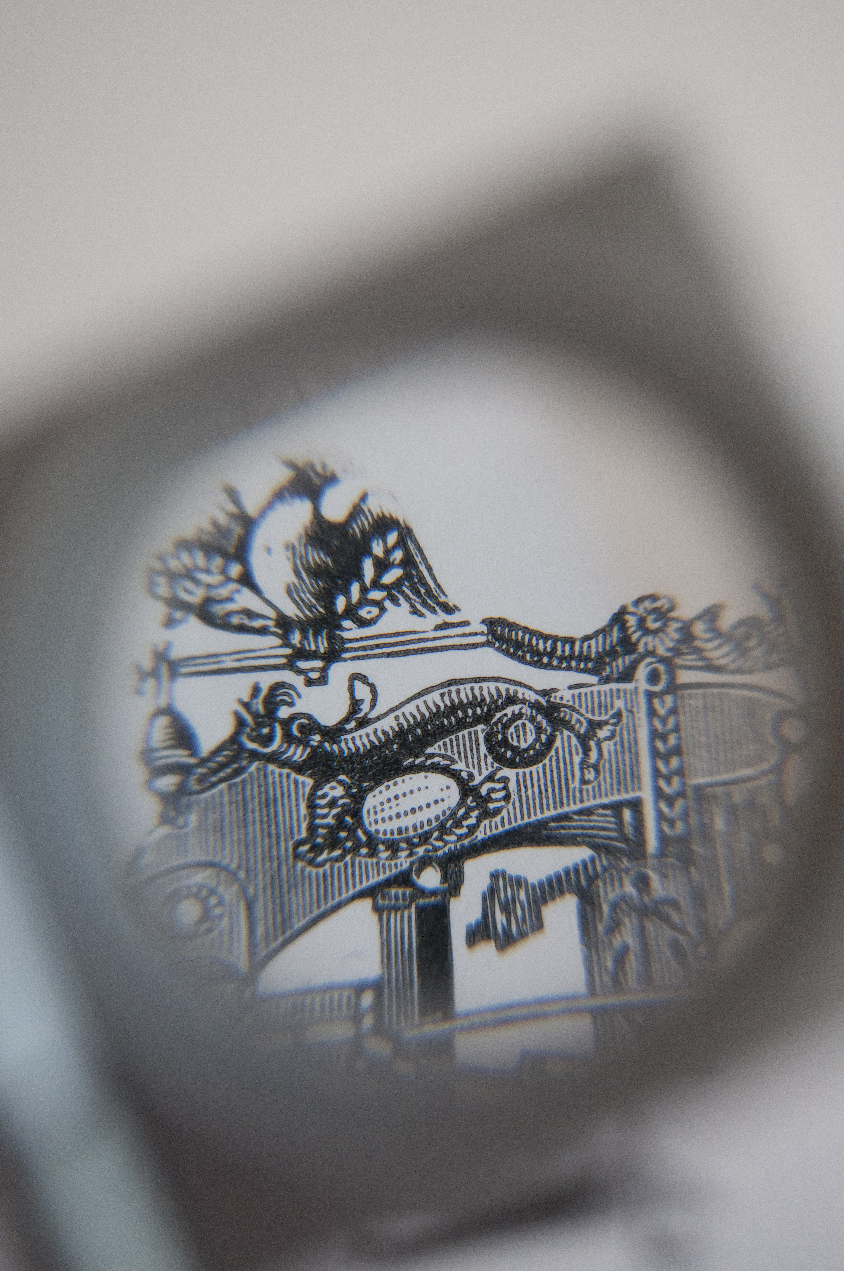 Close up of a letterpress illustration. Photo by Jemma