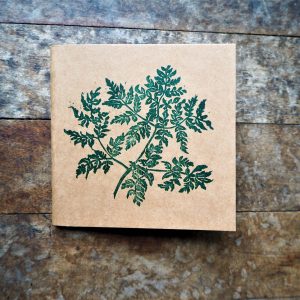 Sweet Cicely herb notebook