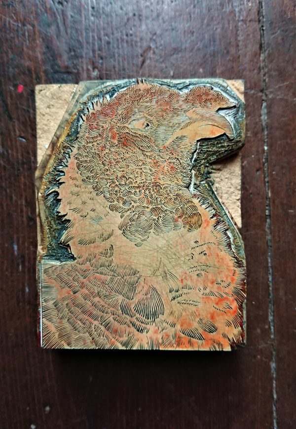 Christmas Turkey Card wood engraving block